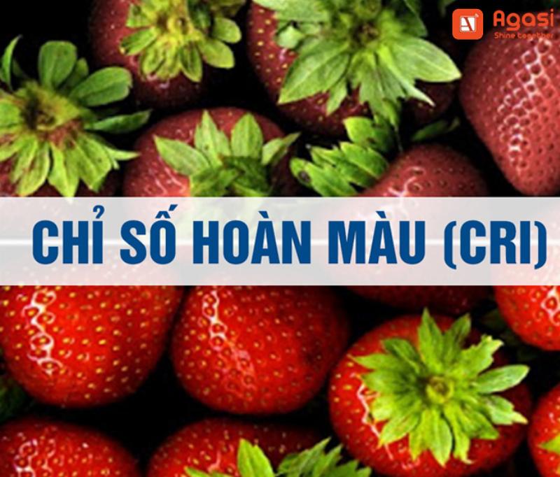 Cách chọn và bố trí đèn LED phòng khách theo nhiệt độ màu và CRI