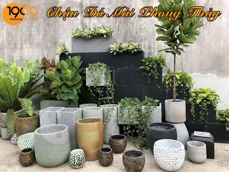 Không gian sống với nhiều cây xanh, tạo sự cân bằng và hài hòa cho mệnh Mộc