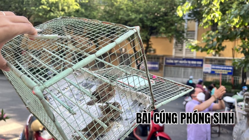Bài cúng phóng sinh đầy đủ nghi lễ cho người tại gia