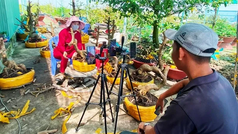 Hình ảnh người đang kiểm tra và chăm sóc cây cảnh trồng ban công, thể hiện sự quan tâm và tỉ mỉ