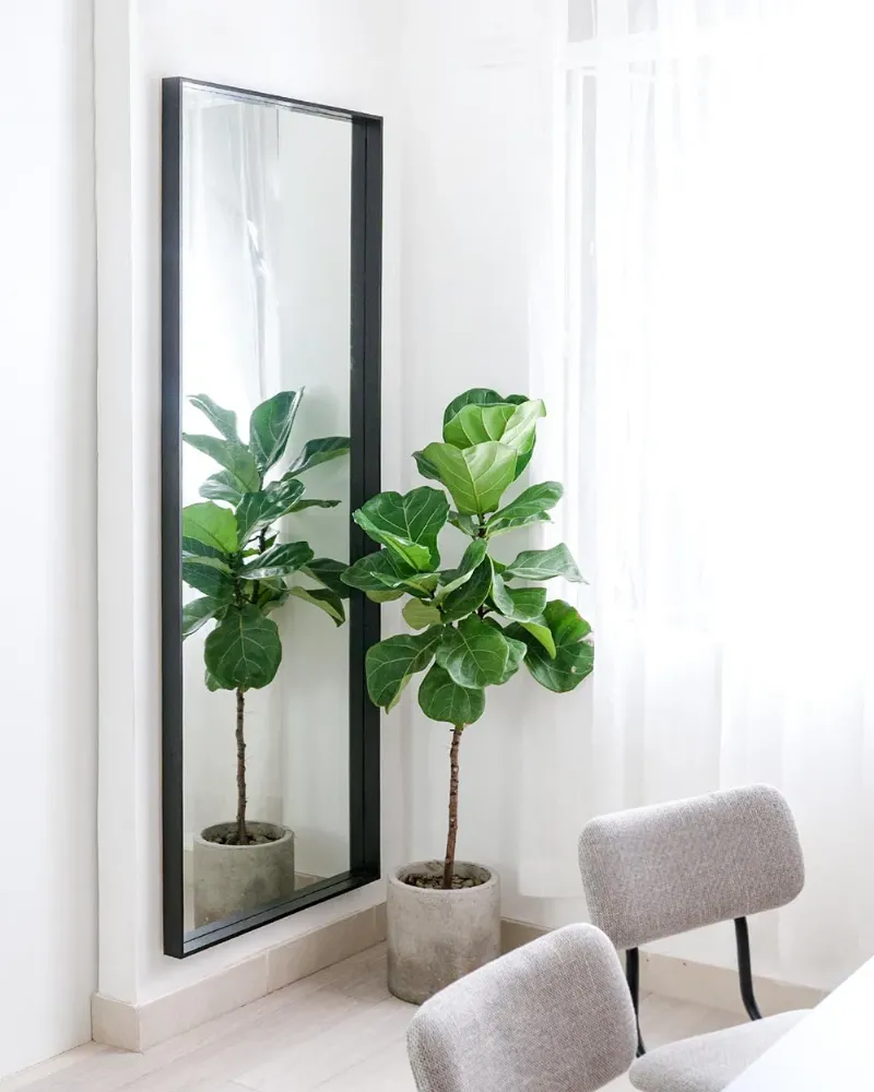 Một số loại gương soi toàn thân di động phổ biến hiện nay với kiểu dáng đa dạng