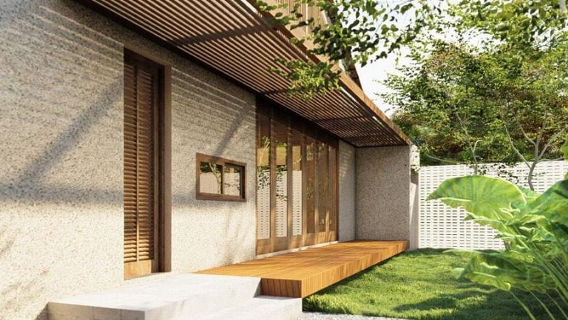 Cây xanh trang trí trong nhà, làm đẹp không gian sống tự nhiên, mang lại sự tươi mới và yên bình