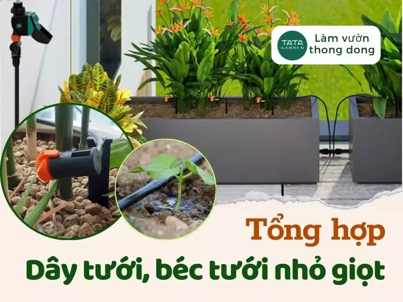 Hệ thống tưới cây tự động nhỏ giọt trên sân thượng, gồm các ống dẫn nước nhỏ và vòi tưới được bố trí đều khắp các chậu cây, đảm bảo cung cấp đủ nước cho từng cây