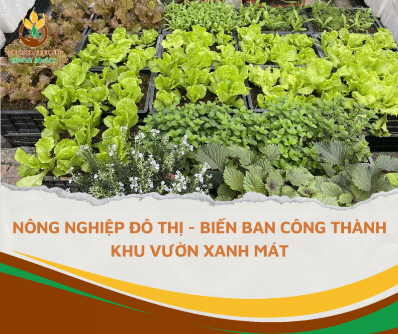 Bien ban cong nho thanh khu vuon xanh mat