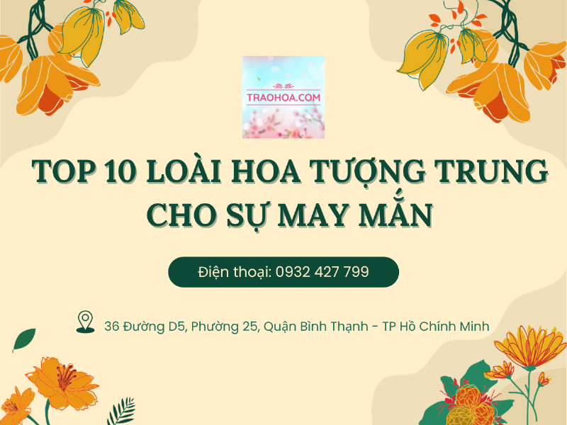 Ý nghĩa sâu sắc của cỏ ba lá trong văn hóa dân gian và niềm tin về sự may mắn