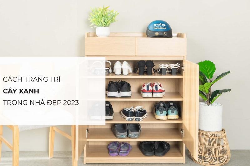 Một chậu cây xanh nhỏ nhắn đặt trên kệ tivi gỗ, mang lại sự tươi mát và điểm nhấn tự nhiên cho phòng khách