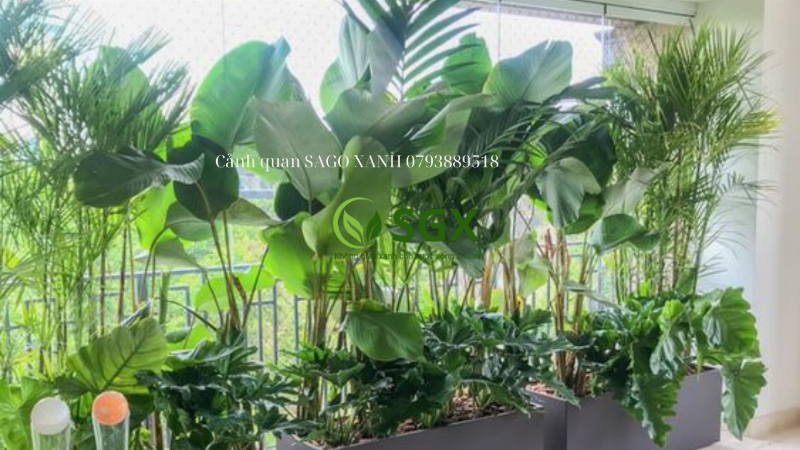 Một ban công chung cư hiện đại với nhiều chậu trồng cây ban công đủ hình dáng và kích thước, tạo không gian xanh mát và thư thái
