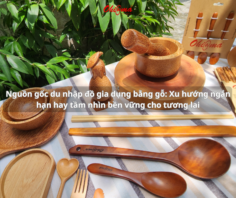 Những lợi ích vượt trội của móc treo quần áo bằng gỗ đối với người dùng và môi trường