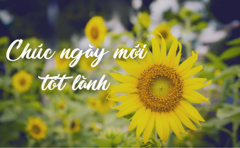 Một người đang thức dậy với nụ cười rạng rỡ, tràn đầy năng lượng trong phòng ngủ sáng sủa, thể hiện lợi ích của việc ngủ đúng hướng