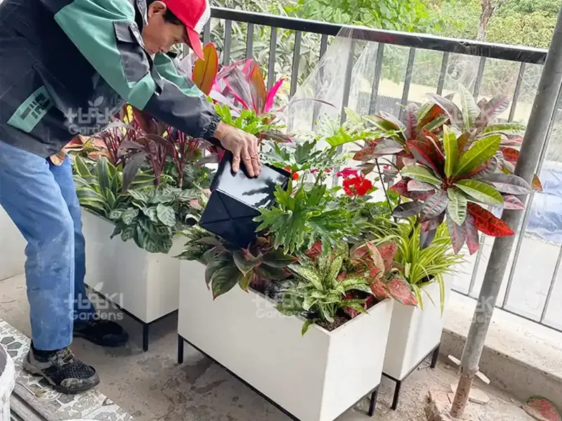 Sàn gỗ composite và cây xanh trang trí cho ban công chung cư, tạo không gian ấm cúng, gần gũi thiên nhiên.
