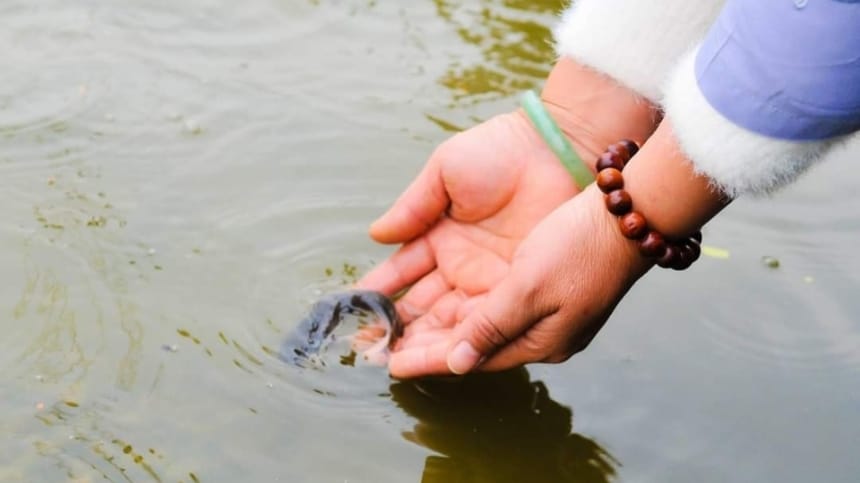 Mẫu văn khấn phóng sinh cá ngoài trời