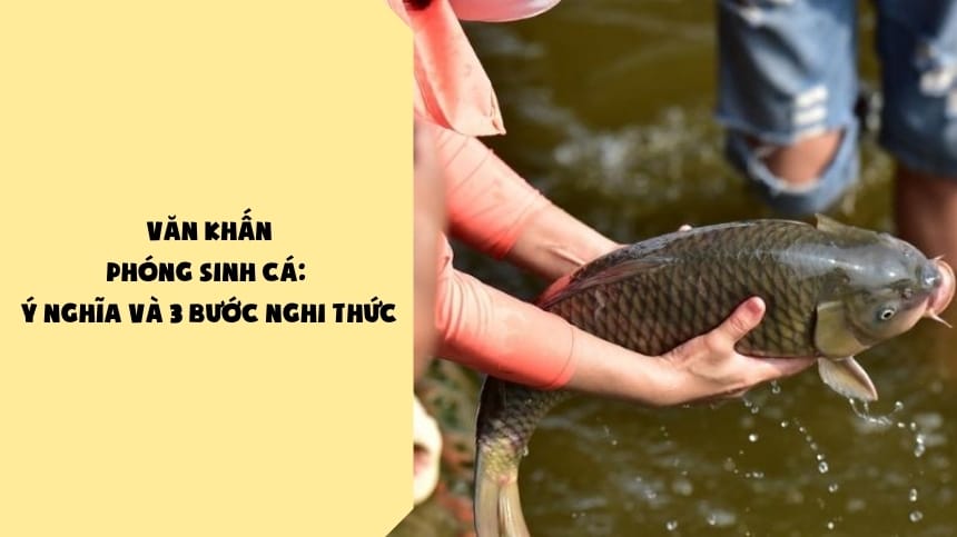 Văn Khấn Phóng Sinh Cá: Ý Nghĩa Và 4 Bước Trong Nghi Thức