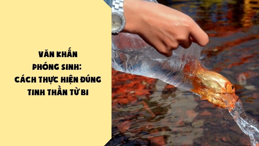 Văn Khấn Phóng Sinh: Cách Thực Hiện Đúng Tinh Thần Từ Bi