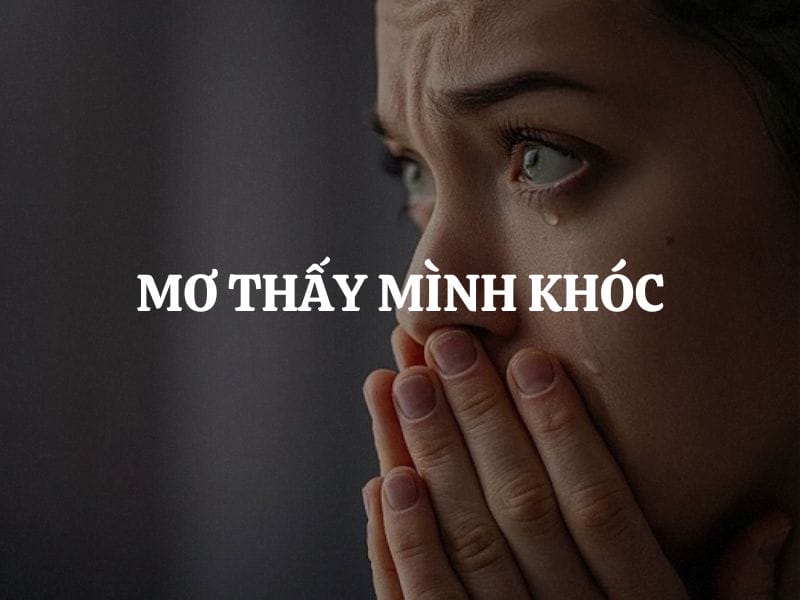 Giấc mơ khóc nức nở là biểu hiện khi cảm xúc của bạn quá tải