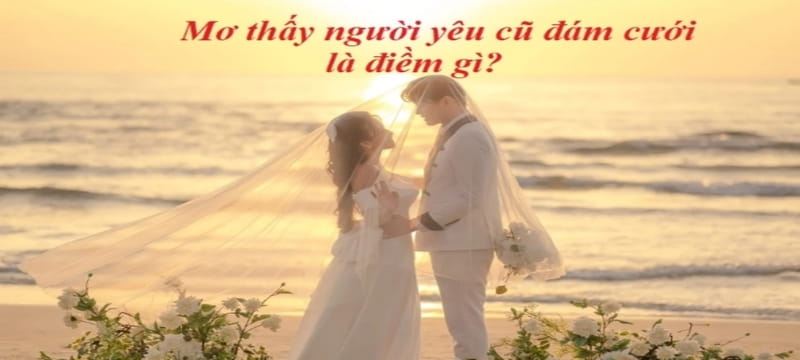 Mơ thấy người yêu cũ làm đám cưới, con số liên quan là 99