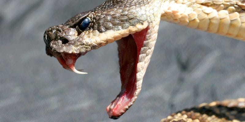 Gợi ý đến bạn các con số may mắn