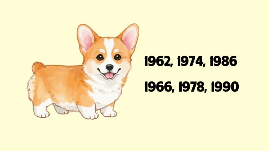 Tuổi tam hợp với tuổi 1958 Mậu Tuất