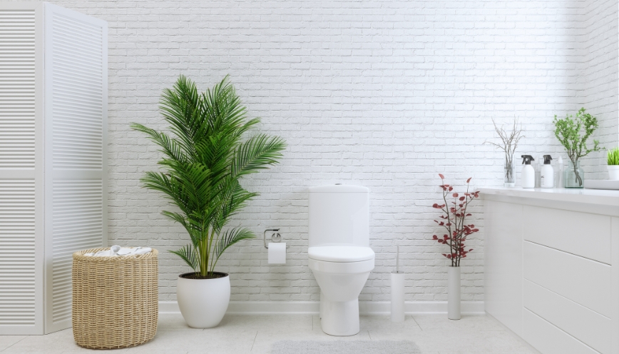 Nhà hướng tây nam đặt nhà vệ sinh hướng nào