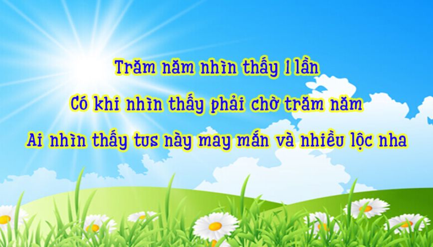 STT chào ngày mới để thả thính bán hàng theo từng phong cách