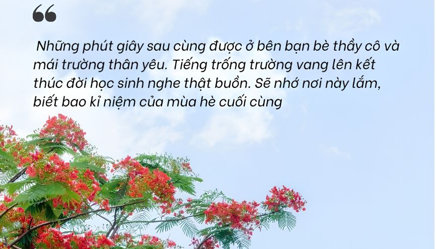 STT dùng thả thính mùa hè ngọt ngào, dễ thương